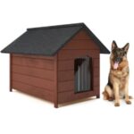Casetas para perros